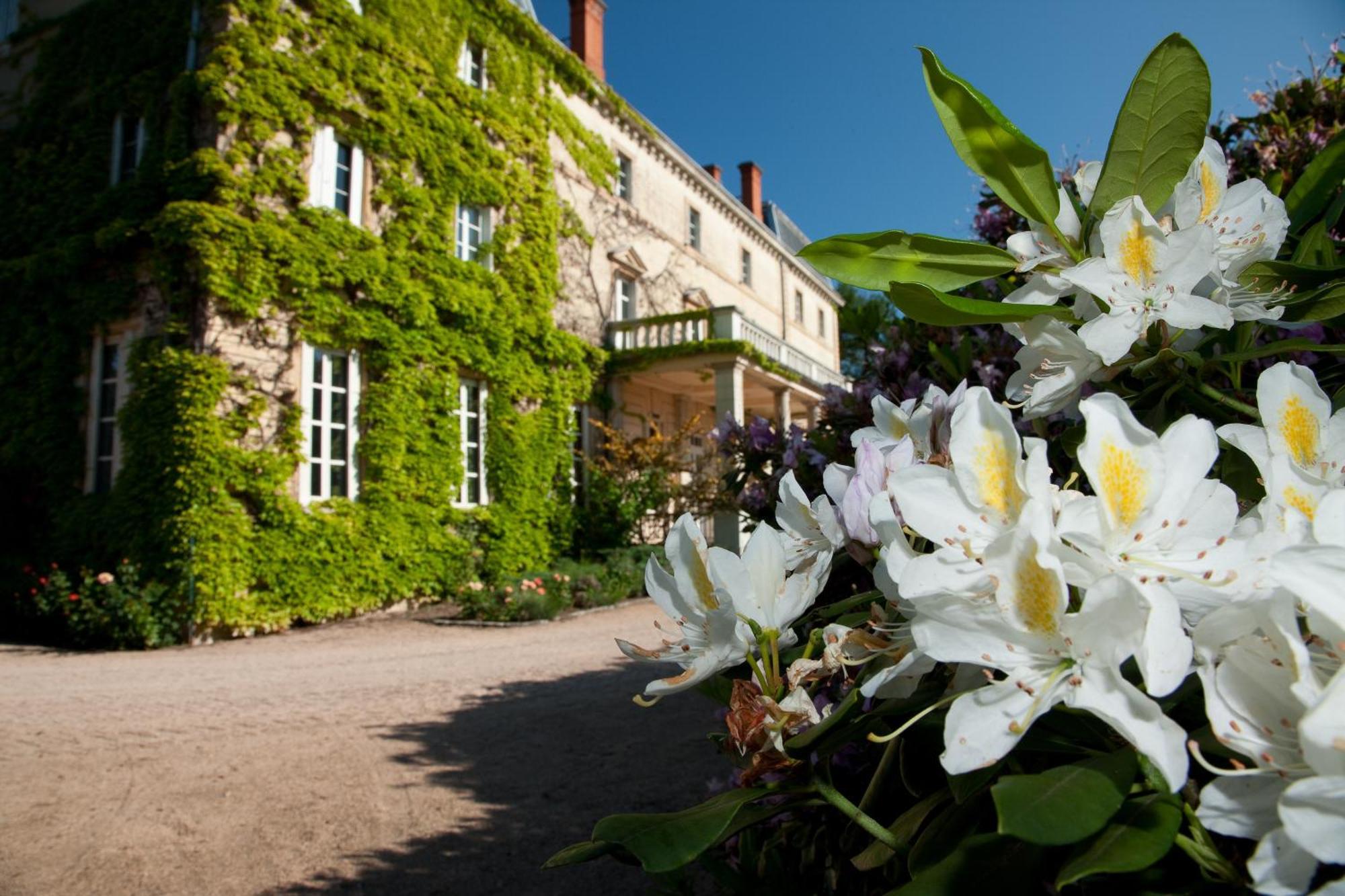 Chateau De Bellevue B&B Villié-Morgon Kültér fotó