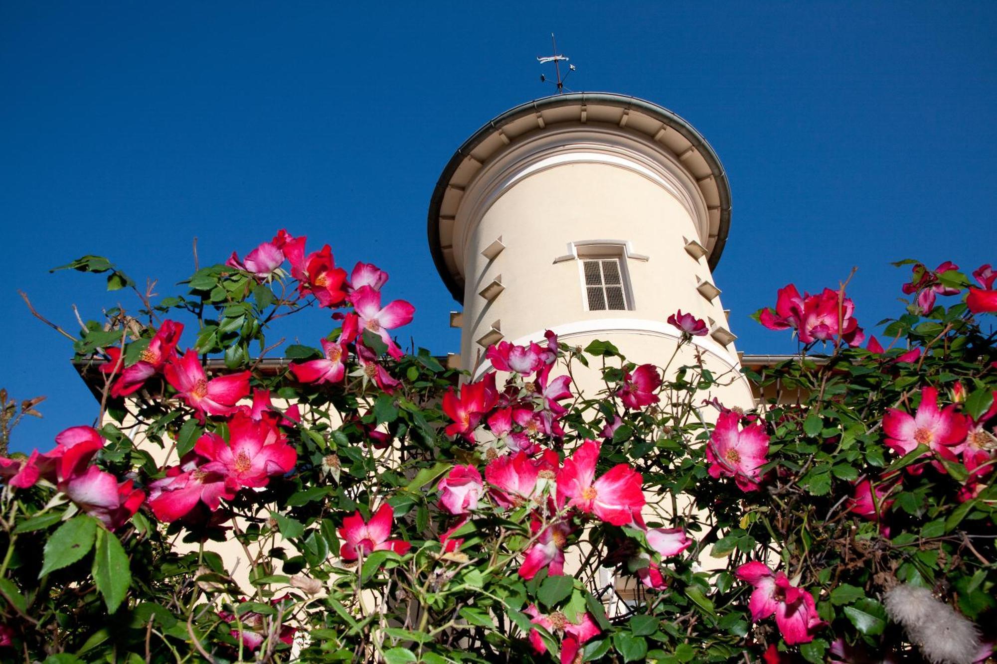 Chateau De Bellevue B&B Villié-Morgon Kültér fotó